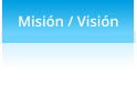 Misión / Visión